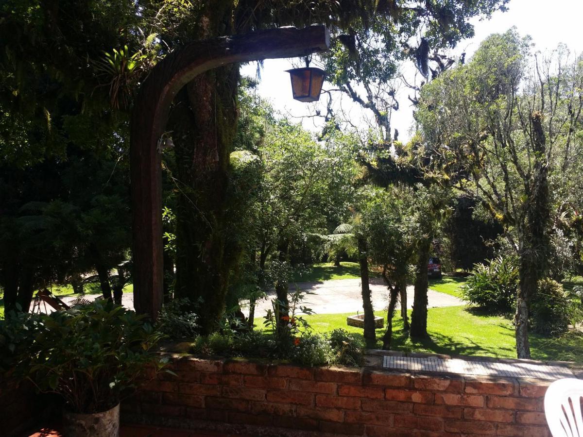 Residencia Utopia Villa São Francisco de Paula Eksteriør bilde